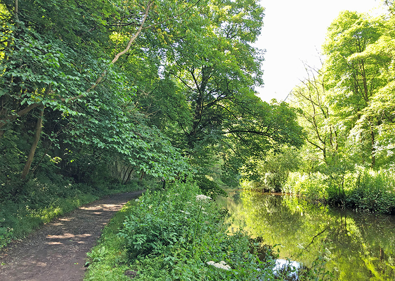 Monsal Head > Litton Mill: 5mls