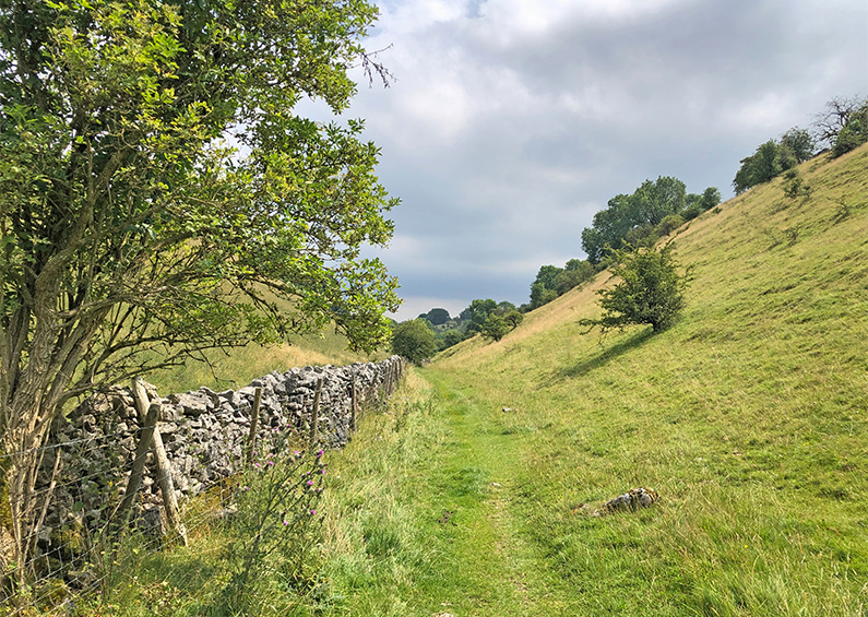 Miller’s Dale > High Dale: 7mls