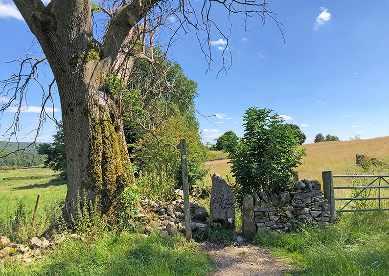 Hassop Station > Eyam: 11mls