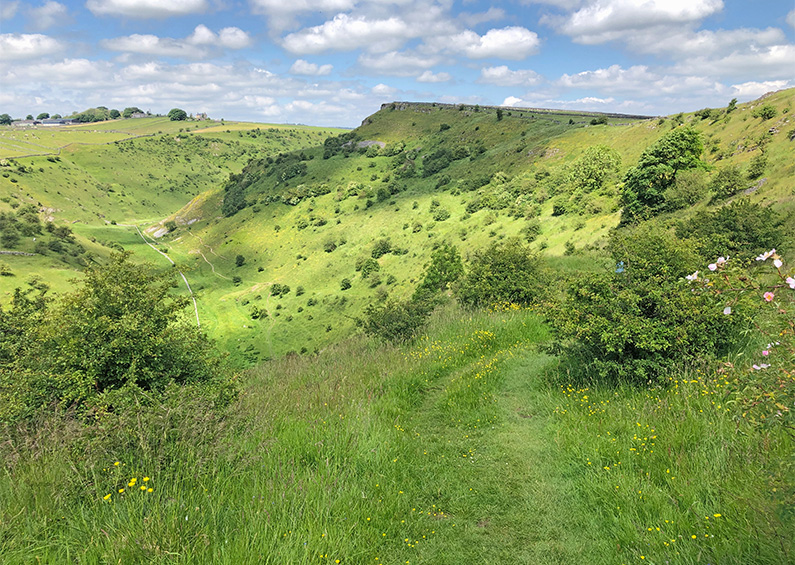 Litton > Cressbrook Dale: 8mls
