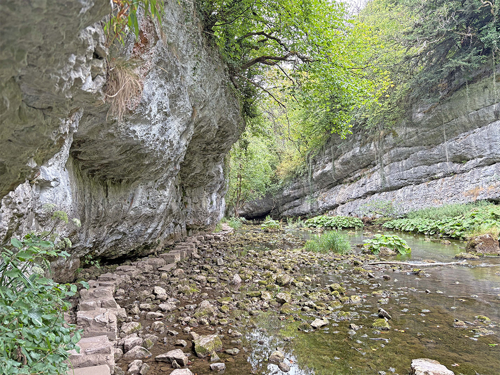 stepping-stones