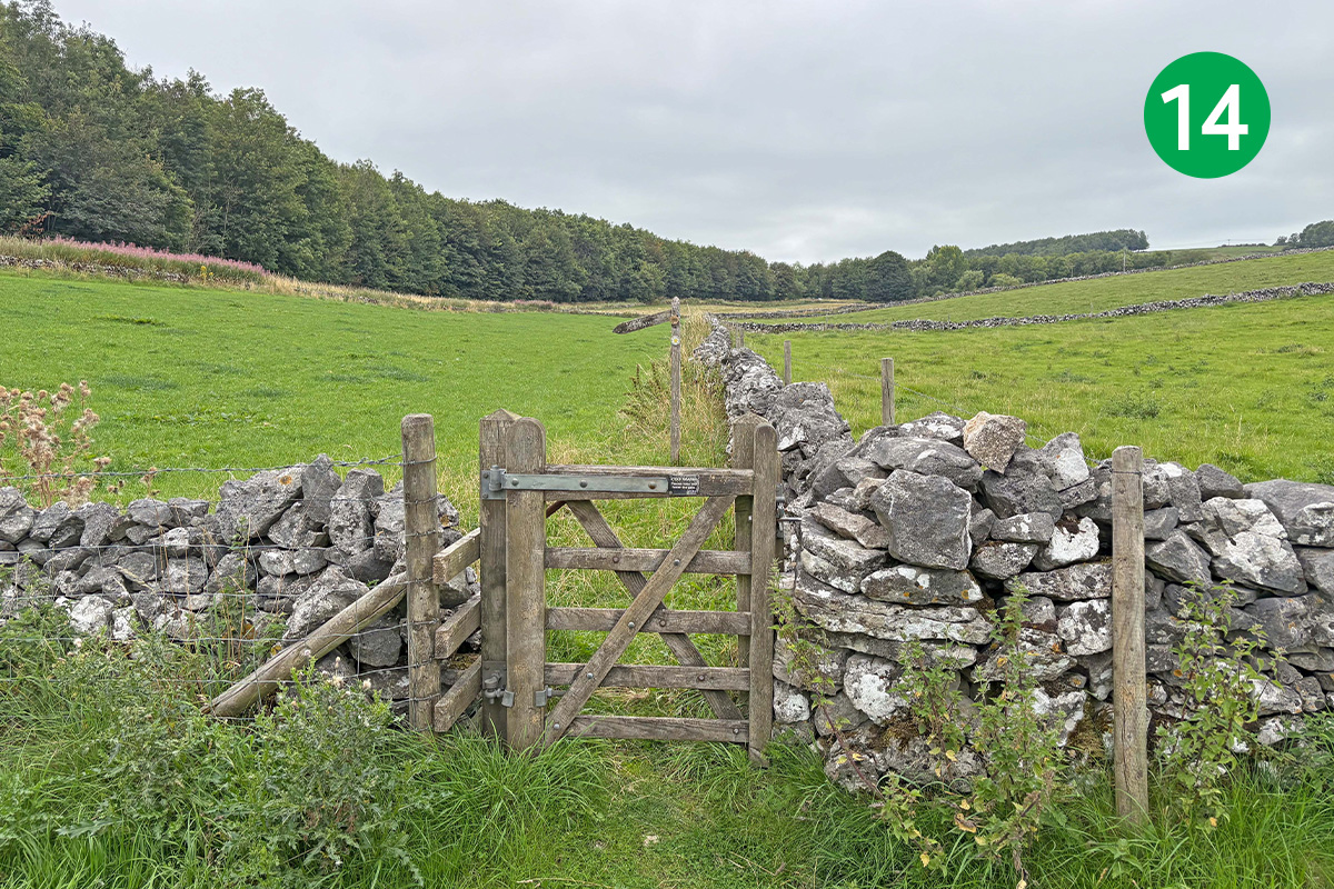 topley-pike-tunstead-8mls-stage-14