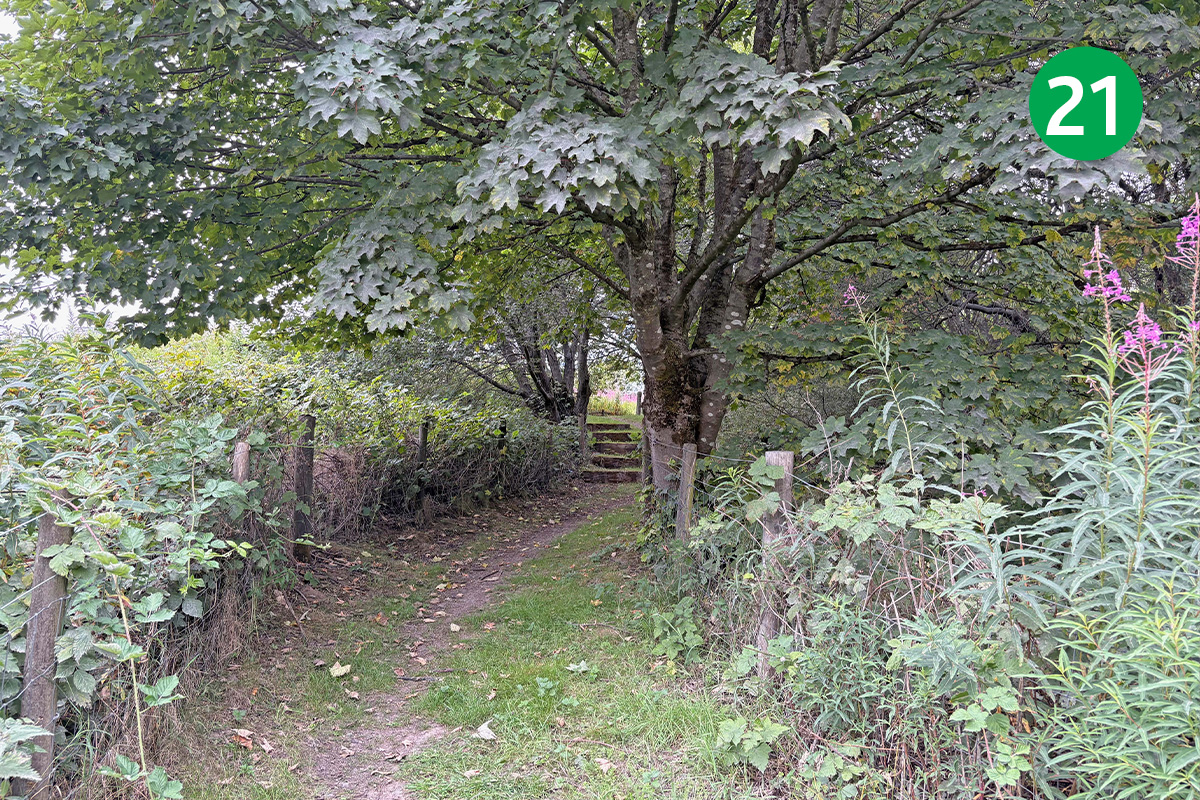 topley-pike-tunstead-8mls-stage-21