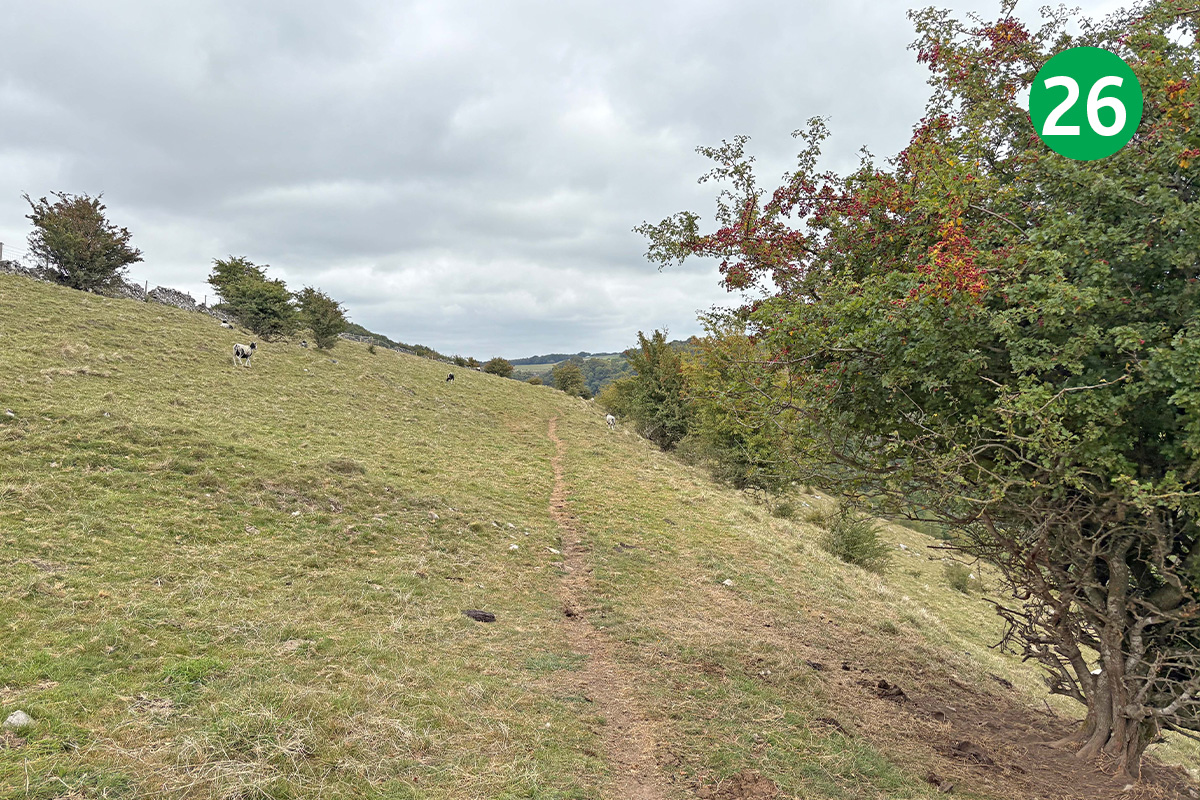 topley-pike-tunstead-8mls-stage-26