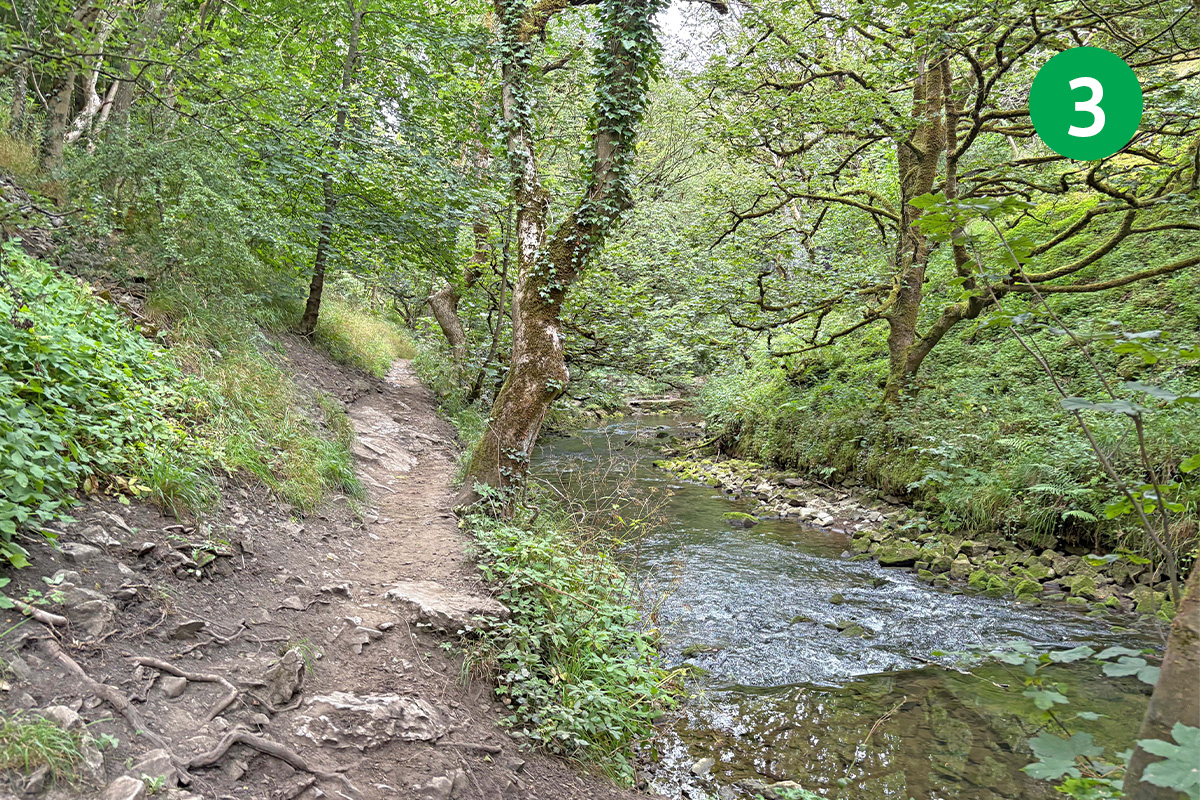 topley-pike-tunstead-8mls-stage-3