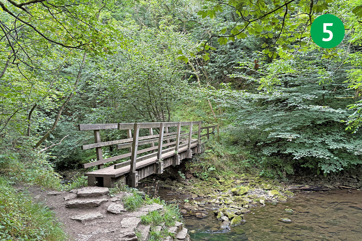 topley-pike-tunstead-8mls-stage-5