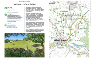 17. Ashford > Churchdale