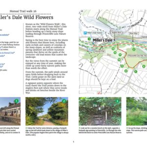 26. Miller's Dale Wild Flowers