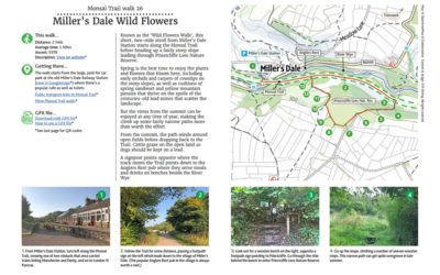 26. Miller’s Dale Wild Flowers