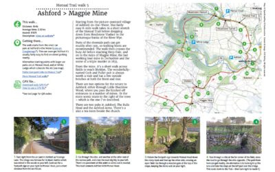 5. Ashford > Magpie Mine